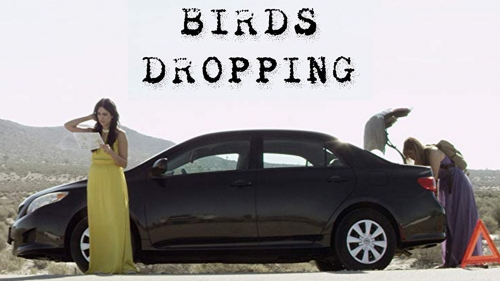  BIRDS DROPPING